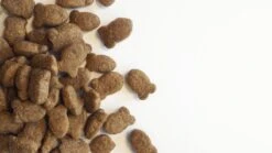 Carocroc Skin Support - Gevogelte/Granen/Vis - Hondenvoer - 15 Kg 20 Carocroc Skin Support - Gevogelte/Granen/Vis - Hondenvoer - 15 Kg -Hondenspullen Verkoop 1200x675 1