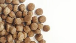 Carocroc Senior Silver 18/10 - Hondenvoer - 15 Kg -Hondenspullen Verkoop 1200x675 10