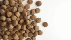 Carocroc Puppy Large Breed 15 KG -Hondenspullen Verkoop 1200x675