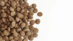 Carocroc Original 23/12 15 KG 17 Carocroc Original 23/12 15 KG -Hondenspullen Verkoop 1200x675 4