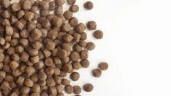 Carocroc Puppy 15 KG 19 Carocroc Puppy 15 KG -Hondenspullen Verkoop 1200x675 8