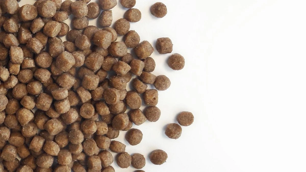 Carocroc Puppy 15 KG 9 Carocroc Puppy 15 KG - Afbeelding 7