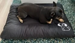 Hondenkussen XXXL -Donkergrijs - 85 X 120 X 14 -Hondenspullen Verkoop 1200x685 1