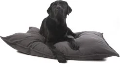 Lex & Max Tivoli - Hondenkussen - Rechthoek - 100x70cm - Grijs 9 Lex & Max Tivoli - Hondenkussen - Rechthoek - 100x70cm - Grijs -Hondenspullen Verkoop 1200x695 2