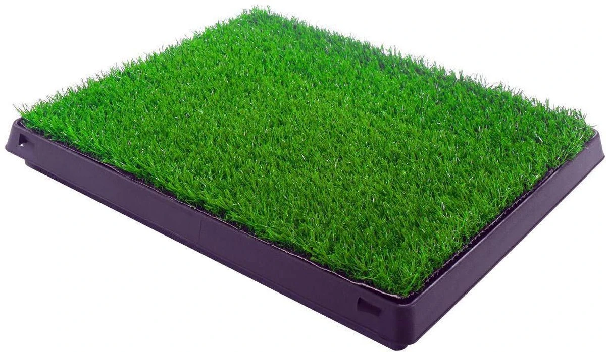 Merkloos Maoo Premium Hondentoilet - Geurbestendig & Hondvriendelijk Kunstgras - Uitneembare Opvangbak - Indoor En Outdoor - 63 X 50 Cm 5 Merkloos Maoo Premium Hondentoilet - Geurbestendig & Hondvriendelijk Kunstgras - Uitneembare Opvangbak - Indoor En Outdoor - 63 X 50 Cm - Afbeelding 3