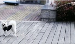 Hondenriem-Looplijn-Zwart/Grijs-8 Meter Oprol-Hond Lijn-Automatisch Rollijn -Hondenspullen Verkoop 1200x703