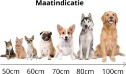 Behave Donut Hondenmand - Hondenkussen - Hondenbed - Kattenmand - Fluffy - Donut - 50cm - Beige 12 Behave Donut Hondenmand - Hondenkussen - Hondenbed - Kattenmand - Fluffy - Donut - 50cm - Beige -Hondenspullen Verkoop 1200x706 2