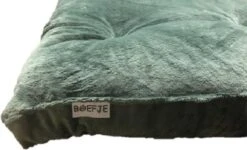 Boefje Hondenkussen - 80 X 120 Cm - Fluweel - Lichtgroen -Hondenspullen Verkoop 1200x728 2