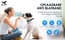 PetFriends Anti Blafband Zonder Schok - Gratis Hondenfluit - USB Oplaadbaar - Anti Blaf Apparaat - Opvoedingshalsband - Voor Grote En Kleine Honden -Hondenspullen Verkoop 1200x742 4