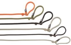 Rebel Petz - Honden Trainingslijn Met Halsband - Taupe, Zwart, Groen & Oranje - Maat Small Of Large - Kleur: Zwart, Maat: Large -Hondenspullen Verkoop 1200x756 2