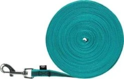 Trixie Hondenriem Sleeplijn Met Rubber Turquoise -Hondenspullen Verkoop 1200x762 1
