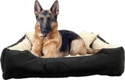 Ecco - Honden- En Kattenbed Met Kussen | Binnenmaat: 130x100 / Buitenmaat: 145x115cm - Beige / Zwart 15 Ecco - Honden- En Kattenbed Met Kussen | Binnenmaat: 130x100 / Buitenmaat: 145x115cm - Beige / Zwart -Hondenspullen Verkoop 1200x772 3
