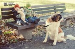 WAW Easy Dog Walk 'schokdemper' Zwart - XXL - >40 Kg -Hondenspullen Verkoop 1200x785 8