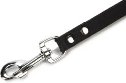 Beeztees Korthouder - Hondenriem - Leer - Bruin - 40x18 Cm -Hondenspullen Verkoop 1200x796 2