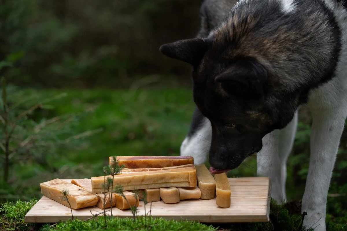 The Original Himalayan Yak Kauwbot Large Puur Fit 5 The Original Himalayan Yak Kauwbot Large Puur Fit - Afbeelding 3