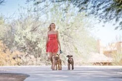 Wigzi Dual Doggie 2.0 Voor Twee Honden - Hondenriem - Grijs - 3m - <22 Kg (per Hond) 14 Wigzi Dual Doggie 2.0 Voor Twee Honden - Hondenriem - Grijs - 3m - <22 Kg (per Hond) -Hondenspullen Verkoop 1200x799 25