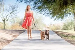 Wigzi Dual Doggie 2.0 Voor Twee Honden - Hondenriem - Grijs - 3m - <22 Kg (per Hond) 16 Wigzi Dual Doggie 2.0 Voor Twee Honden - Hondenriem - Grijs - 3m - <22 Kg (per Hond) -Hondenspullen Verkoop 1200x799 27