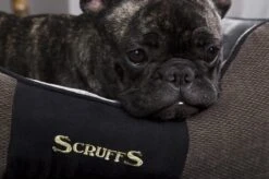 Hondenmand Zacht En Stevig, Anti-Slip En Wasbaar - Scruffs Chester Box Bed - In Grijs En Bruin In Maat S Tot XL - Kleur: Grijs, Maat: Large -Hondenspullen Verkoop 1200x799 35