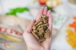 Kivo Petfood Hondenbrokken Kip & Rijst 14 Kg Koudgeperst - Glutenvrij -Hondenspullen Verkoop 1200x799 4