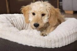 Scruffs Ellen Donut - Warme Hondenmand Van Imitatiebont - Kleur Grijs, Roze Of Bruin - Maat M Of L - Kleur: Grijs, Maat: Medium 36 Scruffs Ellen Donut - Warme Hondenmand Van Imitatiebont - Kleur Grijs, Roze Of Bruin - Maat M Of L - Kleur: Grijs, Maat: Medium -Hondenspullen Verkoop 1200x799 55