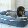 I-CiGO Homy Luxe - Hondenmand - In-kussen Dubbelzijdig Gebruik 70x60xH14cm/Blauw -Hondenspullen Verkoop 1200x800 44
