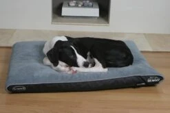 Scruffs Chateau - Hondenbed Orthopedisch Met Memory Foam Voor Extra Steun Voor Rug En Gewrichten - Grijs & Bruin Maat M/L - Kleur: Grijs, Maat: Large -Hondenspullen Verkoop 1200x800 66