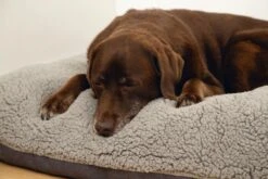 Beeztees Ruba - Orthopedisch Hondenkussen - Grijs - 100x70cm -Hondenspullen Verkoop 1200x800 70