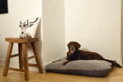 Beeztees Ruba - Orthopedisch Hondenkussen - Grijs - 100x70cm -Hondenspullen Verkoop 1200x800 71