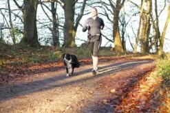 Trixie Heupriem Met Jogginglijn Zwart - RIEM 60-120 CM LIJN 100-135 CM 16 Trixie Heupriem Met Jogginglijn Zwart - RIEM 60-120 CM LIJN 100-135 CM -Hondenspullen Verkoop 1200x800 89