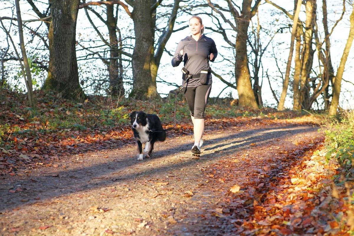 Trixie Heupriem Met Jogginglijn Zwart - RIEM 60-120 CM LIJN 100-135 CM 8 Trixie Heupriem Met Jogginglijn Zwart - RIEM 60-120 CM LIJN 100-135 CM - Afbeelding 6