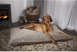Scruffs Chateau - Hondenbed Orthopedisch Met Memory Foam Voor Extra Steun Voor Rug En Gewrichten - Grijs & Bruin Maat M/L - Kleur: Grijs, Maat: Large -Hondenspullen Verkoop 1200x811 2