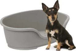 Flamingo - Hondenmand Domus - Grijs - M - 70 X 47 X 22 Cm 10 Flamingo - Hondenmand Domus - Grijs - M - 70 X 47 X 22 Cm -Hondenspullen Verkoop 1200x813 5