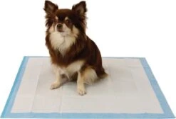 Easypets Puppy Training Pads - Zindelijkheidstraining - Hondentoilet - 58 X 58 Cm - 105 Stuks 10 Easypets Puppy Training Pads - Zindelijkheidstraining - Hondentoilet - 58 X 58 Cm - 105 Stuks -Hondenspullen Verkoop 1200x814 1