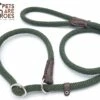 Sliplijn Met Stop - 1.2 Meter - Groen - Verstevigd - Roestvrij Staal - Verstelbaar - Hondenriem - Trainingslijn Voor Honden - Touw - Touwlijn - Lijn - Made In Portugal -Hondenspullen Verkoop 1200x814