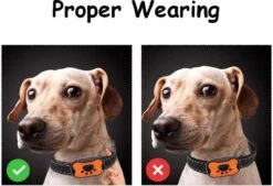 Merkloos Anti Blafband Voor Honden Blafband Anti Blaf Apparaat Blafband Zonder Schok - Diervriendelijk 14 Merkloos Anti Blafband Voor Honden Blafband Anti Blaf Apparaat Blafband Zonder Schok - Diervriendelijk -Hondenspullen Verkoop 1200x822 5