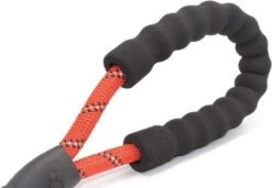Comfortabele Hondenriem Met Gevoerd Handvat – Stevige Nylon Hondenlijn – Riem Voor Honden -Hondenspullen Verkoop 1200x832 2