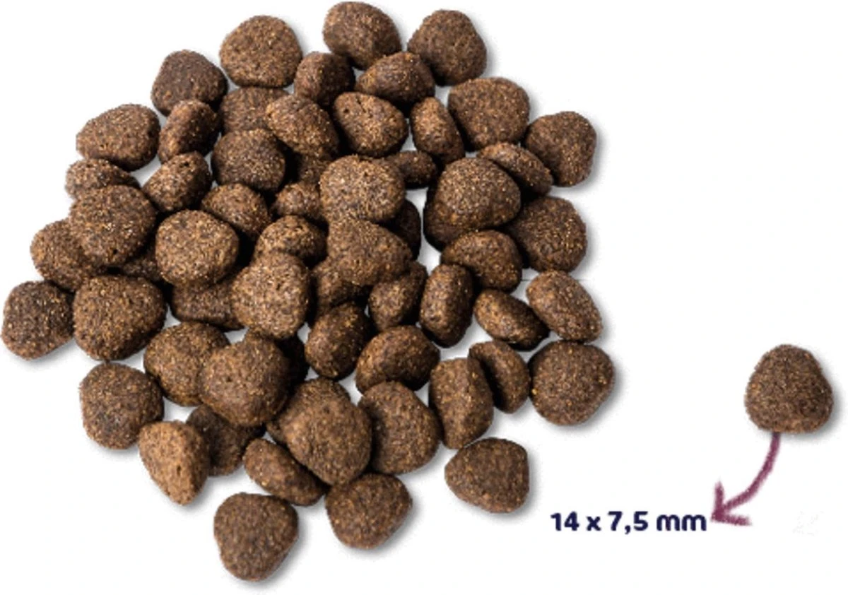 Renske Adult Zalm Graanvrij - Hondenvoer - 2 Kg 4 Renske Adult Zalm Graanvrij - Hondenvoer - 2 Kg - Afbeelding 2