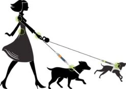 WAW Easy Dog Walk 'schokdemper' Zwart - XL - 25-40 Kg 13 WAW Easy Dog Walk 'schokdemper' Zwart - XL - 25-40 Kg -Hondenspullen Verkoop 1200x852