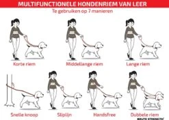 Multifunctionele Hondenriem - 220cm - Bruin - Leren Hondenriem - 100% Volnerfleer - Hondenriem Leer - Leiband Hond 15 Multifunctionele Hondenriem - 220cm - Bruin - Leren Hondenriem - 100% Volnerfleer - Hondenriem Leer - Leiband Hond -Hondenspullen Verkoop 1200x853