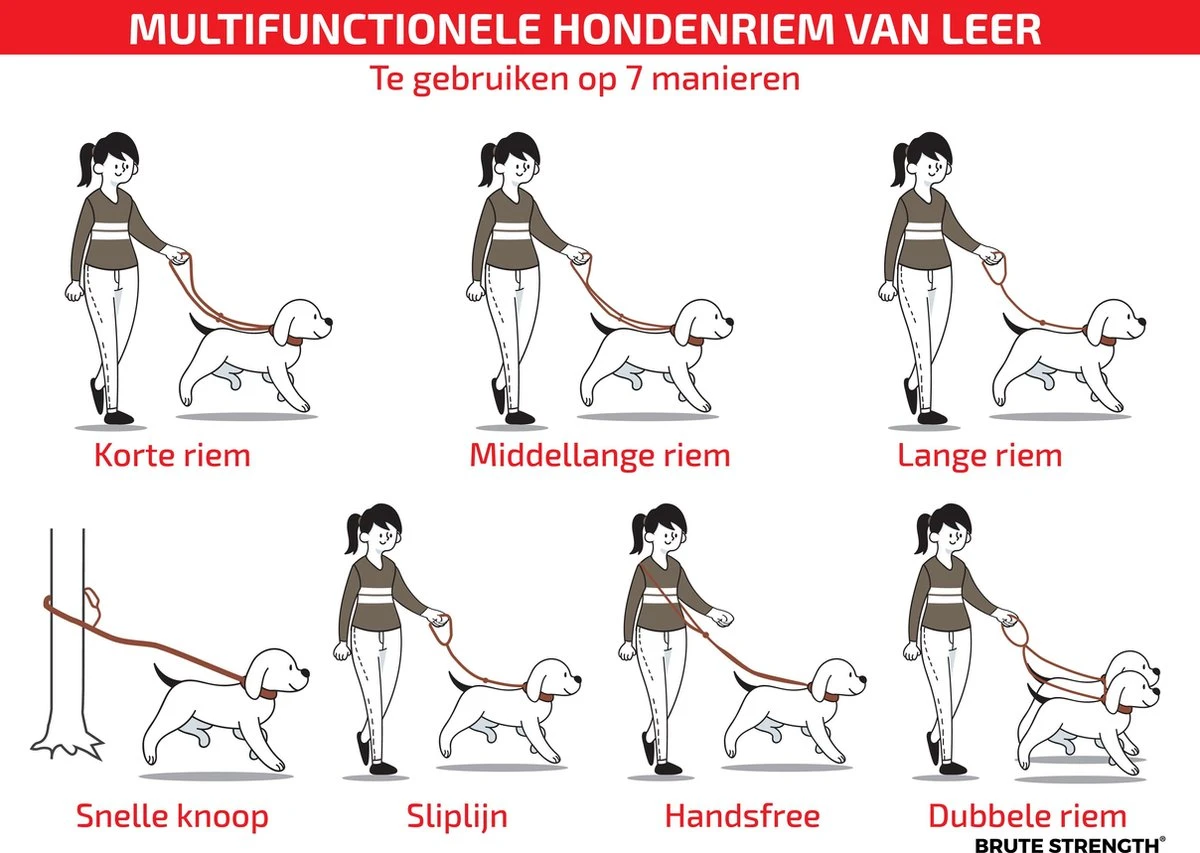 Multifunctionele Hondenriem - 220cm - Bruin - Leren Hondenriem - 100% Volnerfleer - Hondenriem Leer - Leiband Hond 6 Multifunctionele Hondenriem - 220cm - Bruin - Leren Hondenriem - 100% Volnerfleer - Hondenriem Leer - Leiband Hond - Afbeelding 4