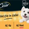 Cesar Selectie In Gelei Maaltijdzakjes Honden Natvoer - Vlees En Groenten In Gelei - 48 X 100g -Hondenspullen Verkoop 1200x861 1