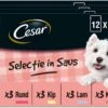 Cesar Selectie In Saus Maaltijdzakjes Honden Natvoer - Vlees En Groenten In Saus - 48 X 100 Gr -Hondenspullen Verkoop 1200x861