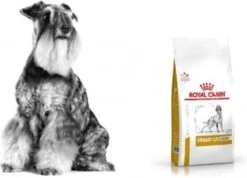 Royal Canin Veterinary Diet Urinary S/O Ageing 7+ Hond 8kg -Hondenspullen Verkoop 1200x864
