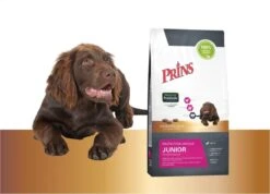 Prins Protection Croque Junior - Performance - Hondenvoer - 10 Kg -Hondenspullen Verkoop 1200x867