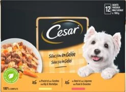 Cesar Selectie In Gelei Maaltijdzakjes Honden Natvoer - Vlees En Groenten In Gelei - 48 X 100g -Hondenspullen Verkoop 1200x874