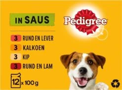 Pedigree Adult Honden Natvoer - Vlees & Gevogelte In Saus - 48 X 100g -Hondenspullen Verkoop 1200x884