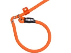 Rebel Petz - Honden Trainingslijn Met Halsband - Taupe, Zwart, Groen & Oranje - Maat Small Of Large - Kleur: Oranje, Maat: Large 39 Rebel Petz - Honden Trainingslijn Met Halsband - Taupe, Zwart, Groen & Oranje - Maat Small Of Large - Kleur: Oranje, Maat: Large -Hondenspullen Verkoop 1200x893