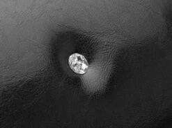 Hondenspullen Verkoop -Hondenspullen Verkoop 1200x899 10