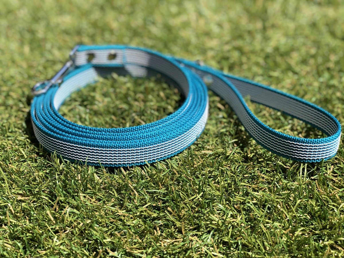 Merkloos Hondenriem - Antislip Lijn - 3 Meter - Turquoise - Training - Anti Slip - Volglijn - Looplijn - Speurlijn - Puppy 3 Merkloos Hondenriem - Antislip Lijn - 3 Meter - Turquoise - Training - Anti Slip - Volglijn - Looplijn - Speurlijn - Puppy