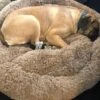 HONDEN RELAX Kussen - Superzacht Fluffy Ronde Mand 100 Cm - Taupe/Zandkleur 1 HONDEN RELAX Kussen - Superzacht Fluffy Ronde Mand 100 Cm - Taupe/Zandkleur -Hondenspullen Verkoop 1200x899 7